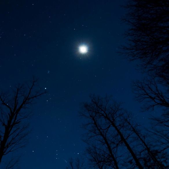 EarthSky Facebook friend Janet Furlong in Culpeper, Virginia took this photo on January 19, 2013. The two brightest objects are the moon and Jupiter. View larger. Janet says: Step outside and lift your head up and view the sky. Totally gorgeous … so much to see tonight.