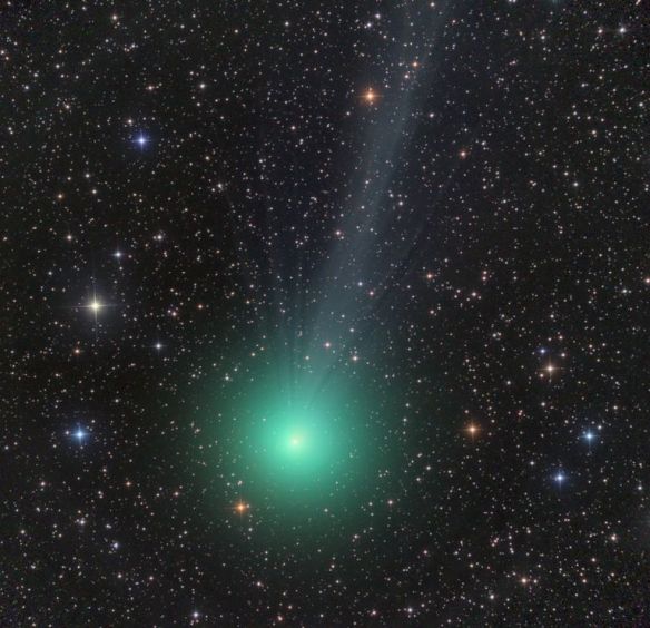 comet lovejoy - photo courtesy of NASA