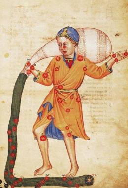 1Aquarius - Delv - Kova by al-Sufi 'Book of Fixed Stars'1